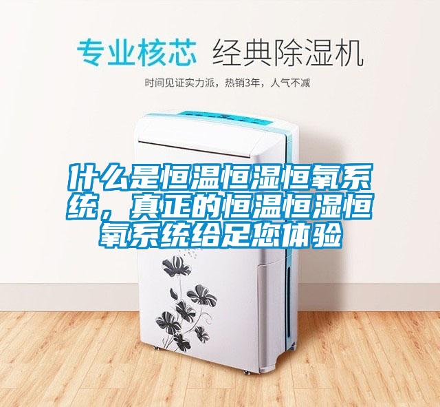 什么是恒溫恒濕恒氧系統，真正的恒溫恒濕恒氧系統給足您體驗