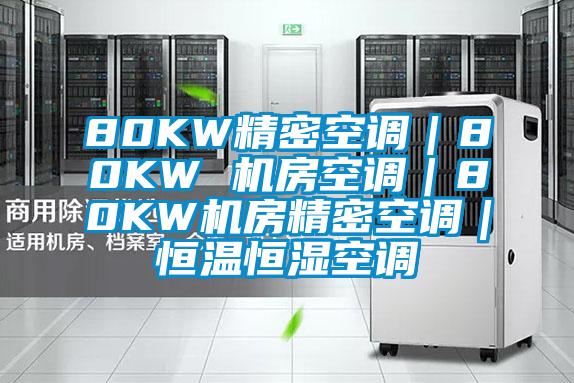 80KW精密空調｜80KW 機房空調｜80KW機房精密空調｜恒溫恒濕空調