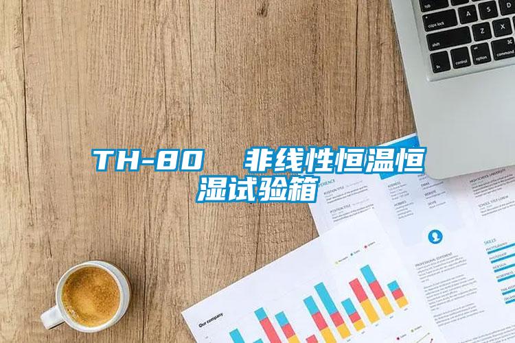 TH-80  非線性恒溫恒濕試驗箱