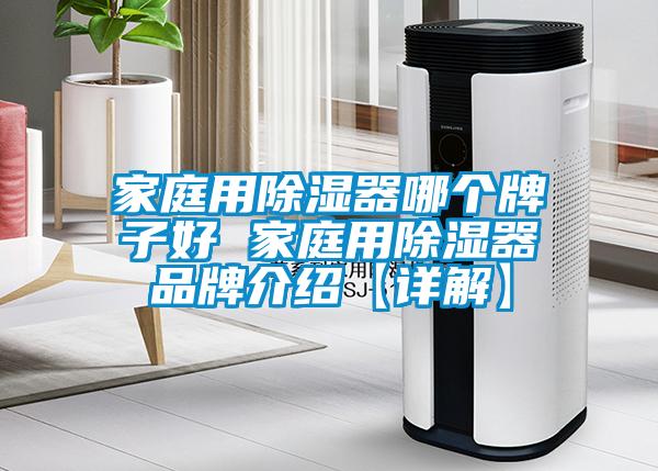 家庭用除濕器哪個(gè)牌子好 家庭用除濕器品牌介紹【詳解】