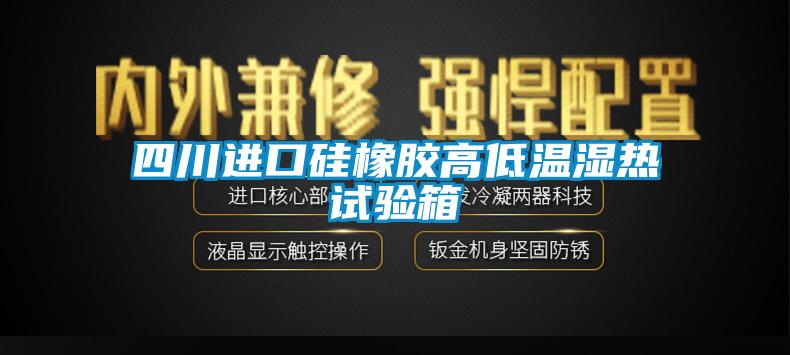 四川進(jìn)口硅橡膠高低溫濕熱試驗(yàn)箱