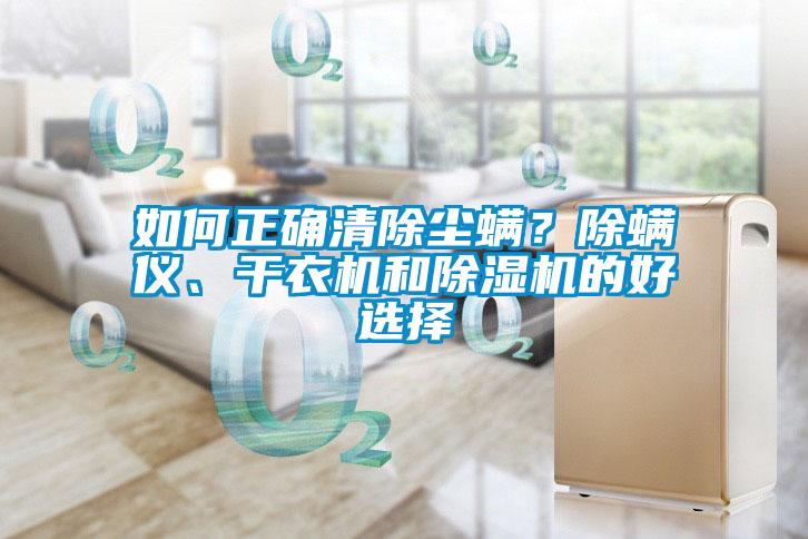 如何正確清除塵螨？除螨儀、干衣機和除濕機的好選擇