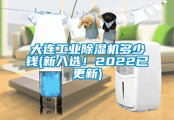 大連工業除濕機多少錢(新入選！2022已更新)