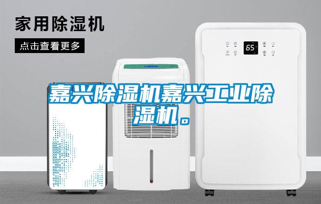 嘉興除濕機嘉興工業除濕機。