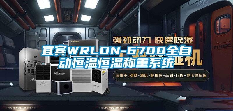 宜賓WRLDN-6700全自動恒溫恒濕稱重系統