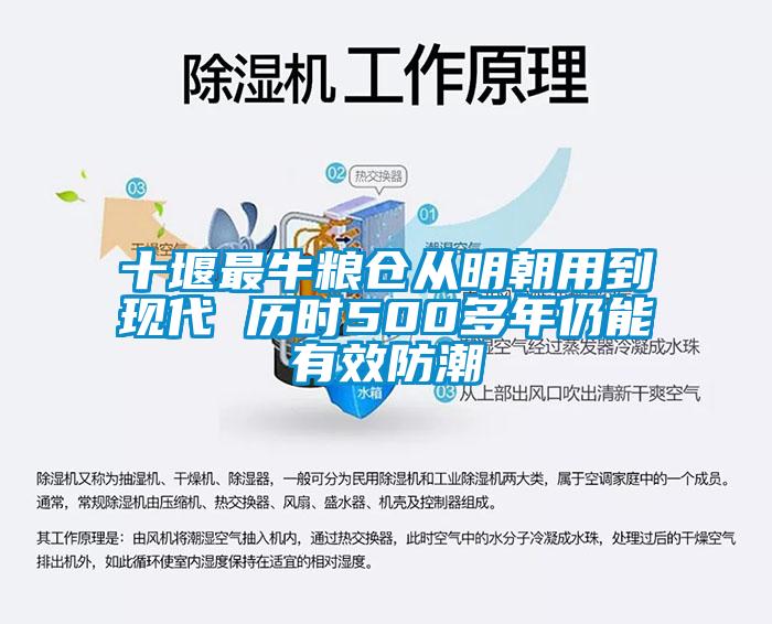 十堰最牛糧倉從明朝用到現代 歷時500多年仍能有效防潮