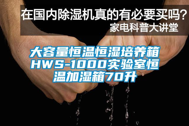 大容量恒溫恒濕培養箱HWS-1000實驗室恒溫加濕箱70升