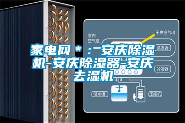 家電網＊：安慶除濕機-安慶除濕器-安慶去濕機