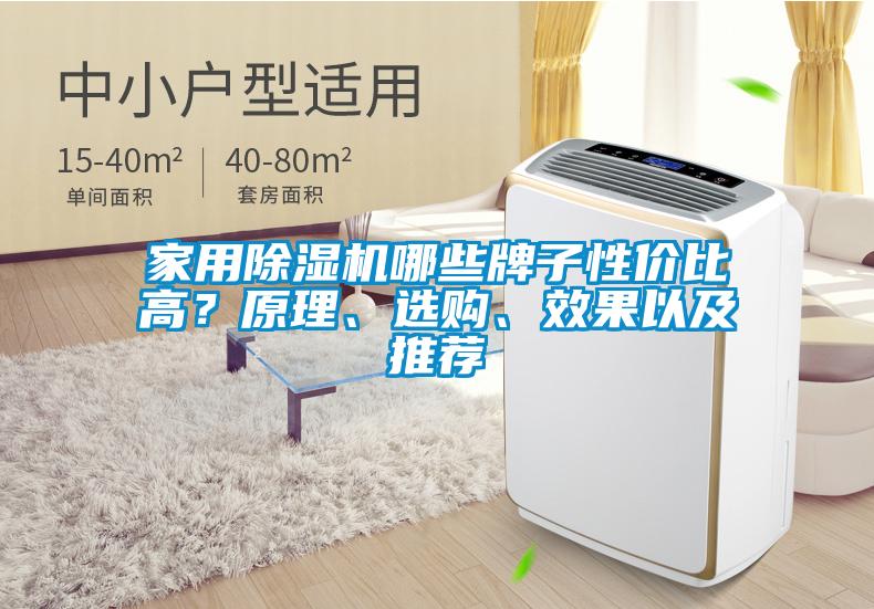 家用除濕機哪些牌子性價比高？原理、選購、效果以及推薦