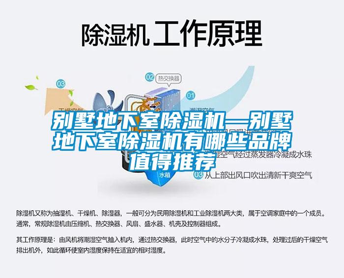 別墅地下室除濕機(jī)—?jiǎng)e墅地下室除濕機(jī)有哪些品牌值得推薦