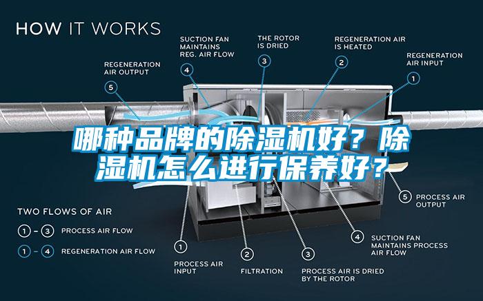 哪種品牌的除濕機好？除濕機怎么進行保養好？