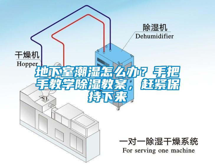 地下室潮濕怎么辦？手把手教學除濕教案，趕緊保持下來