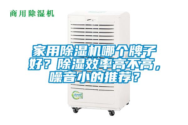 家用除濕機哪個牌子好？除濕效率高不高，噪音小的推薦？