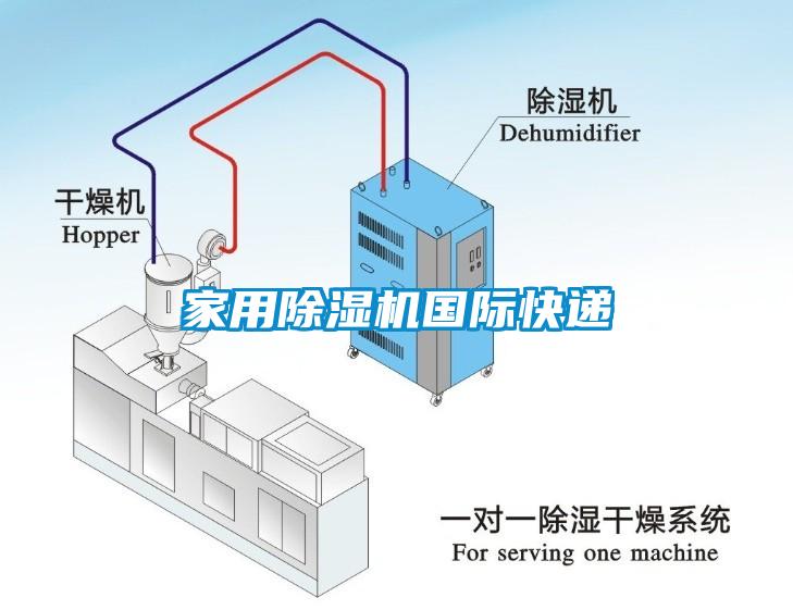 家用除濕機國際快遞