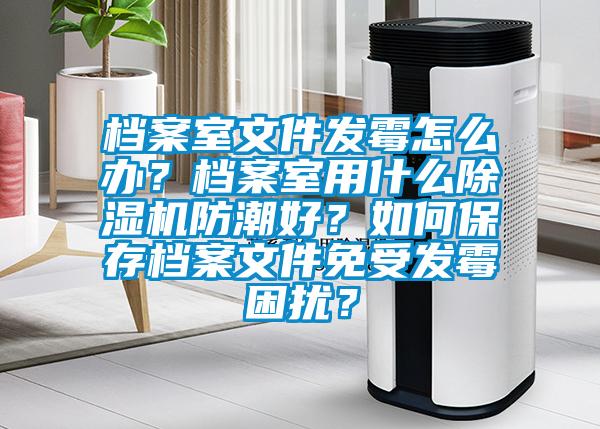 檔案室文件發霉怎么辦？檔案室用什么除濕機防潮好？如何保存檔案文件免受發霉困擾？