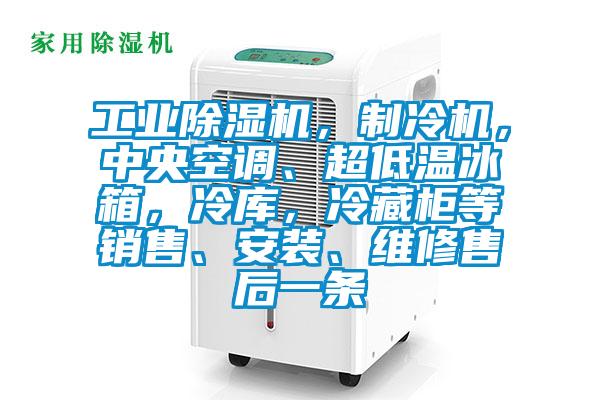 工業除濕機，制冷機，中央空調、超低溫冰箱，冷庫，冷藏柜等銷售、安裝、維修售后一條