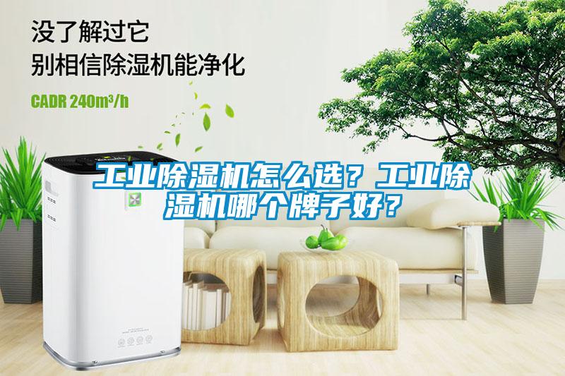 工業(yè)除濕機怎么選？工業(yè)除濕機哪個牌子好？