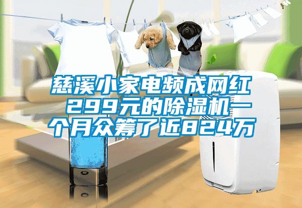 慈溪小家電頻成網紅 299元的除濕機一個月眾籌了近824萬