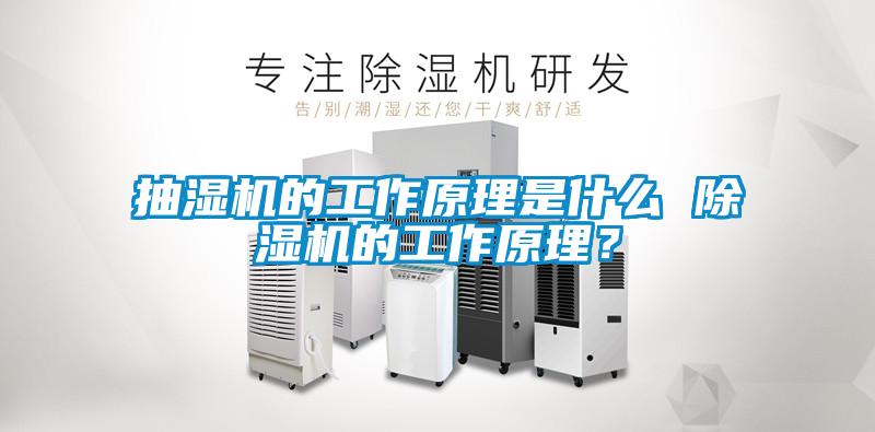 抽濕機的工作原理是什么 除濕機的工作原理？