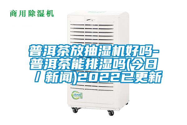 普洱茶放抽濕機好嗎-普洱茶能排濕嗎(今日／新聞)2022已更新