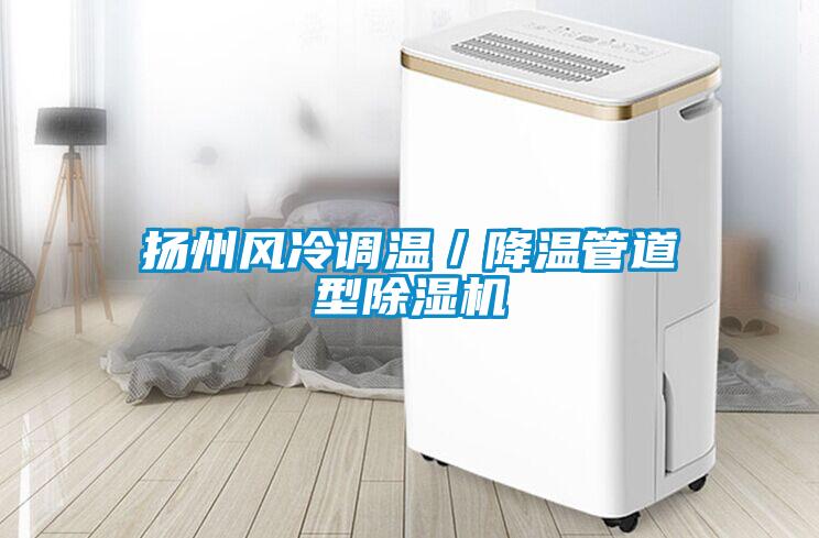 揚州風冷調溫／降溫管道型除濕機