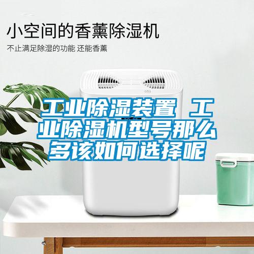 工業(yè)除濕裝置 工業(yè)除濕機(jī)型號那么多該如何選擇呢