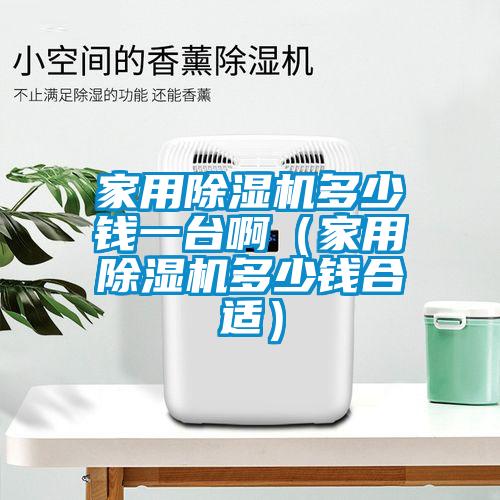 家用除濕機多少錢一臺啊（家用除濕機多少錢合適）