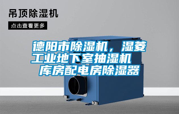 德陽市除濕機，濕菱工業地下室抽濕機  庫房配電房除濕器