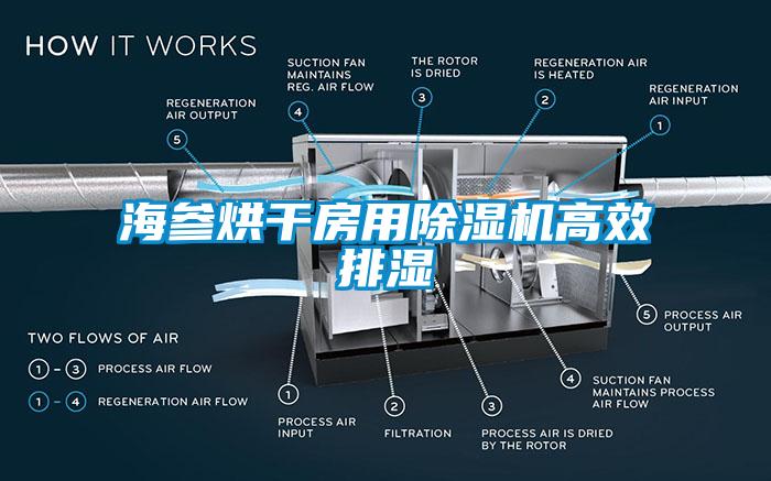 海參烘干房用除濕機高效排濕