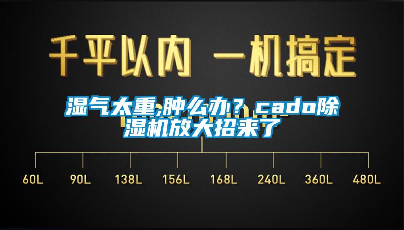 濕氣太重,腫么辦？cado除濕機放大招來了