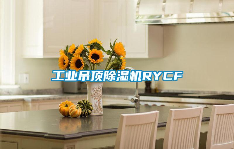 工業(yè)吊頂除濕機(jī)RYCF