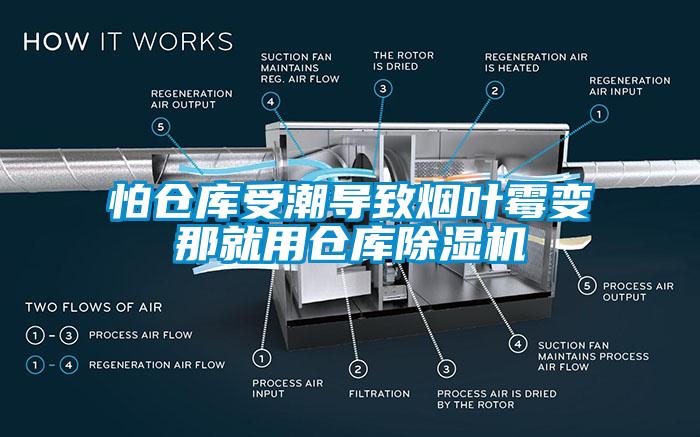 怕倉庫受潮導致煙葉霉變那就用倉庫除濕機