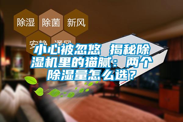 小心被忽悠 揭秘除濕機里的貓膩：兩個除濕量怎么選？