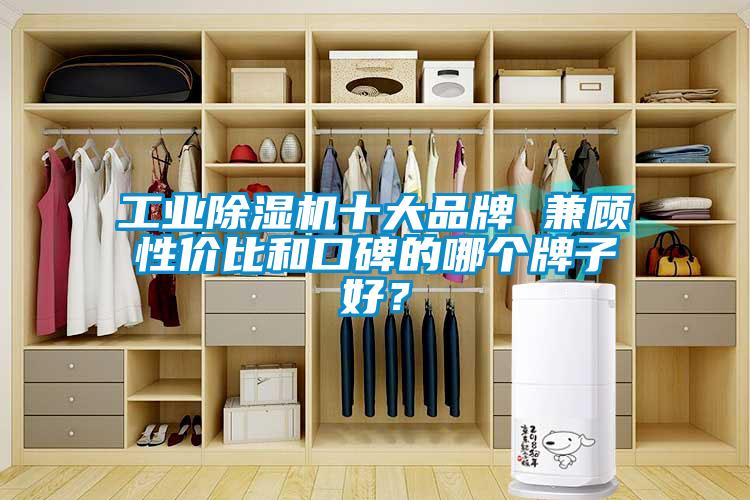 工業除濕機十大品牌 兼顧性價比和口碑的哪個牌子好？