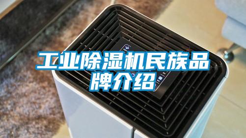 工業除濕機民族品牌介紹