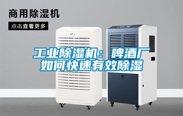 工業除濕機：啤酒廠如何快速有效除濕