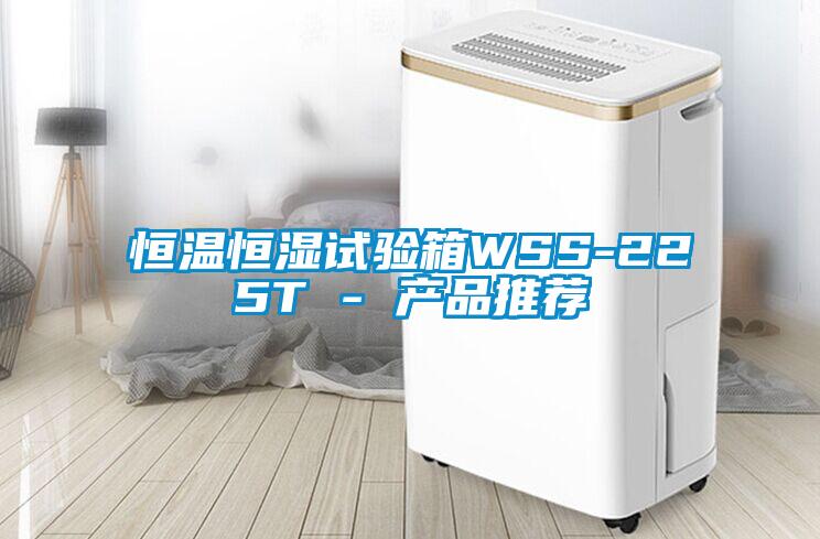 恒溫恒濕試驗箱WSS-225T - 產品推薦