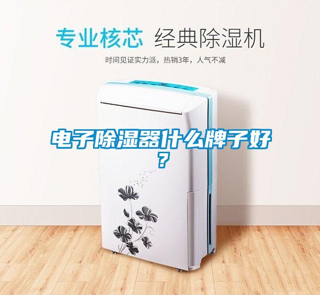 電子除濕器什么牌子好？