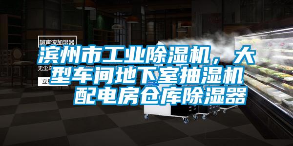 濱州市工業除濕機，大型車間地下室抽濕機  配電房倉庫除濕器