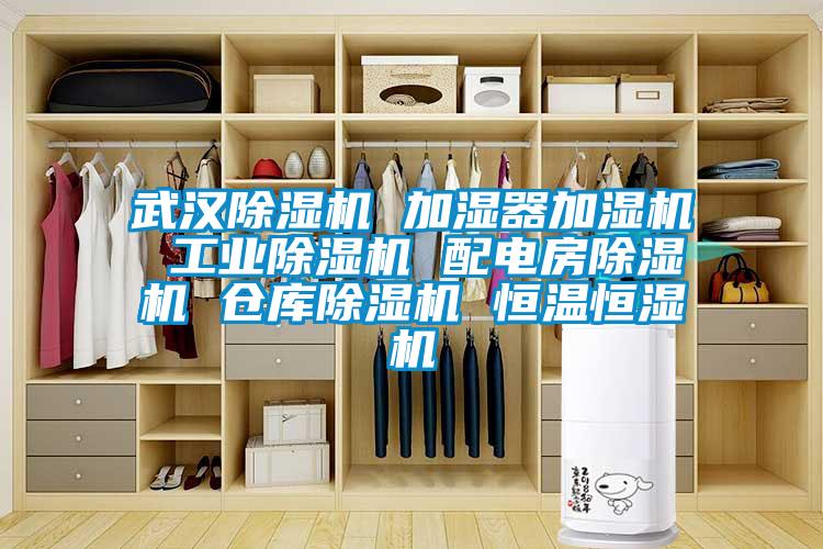 武漢除濕機 加濕器加濕機 工業除濕機 配電房除濕機 倉庫除濕機 恒溫恒濕機