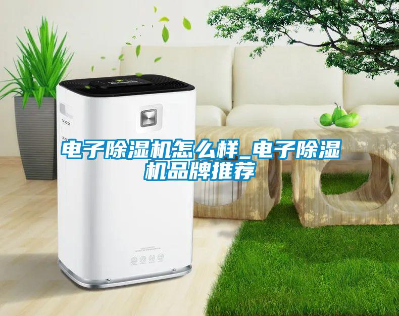 電子除濕機怎么樣_電子除濕機品牌推薦