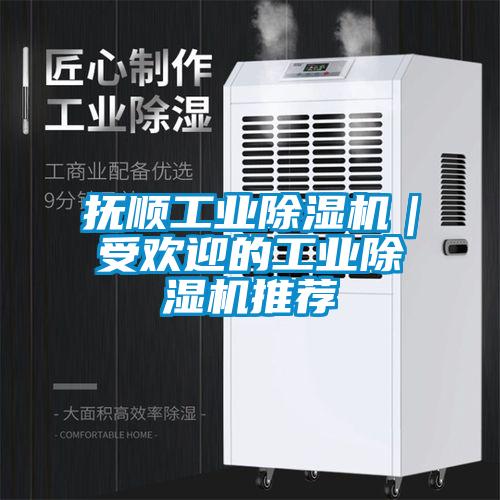 撫順工業除濕機｜受歡迎的工業除濕機推薦