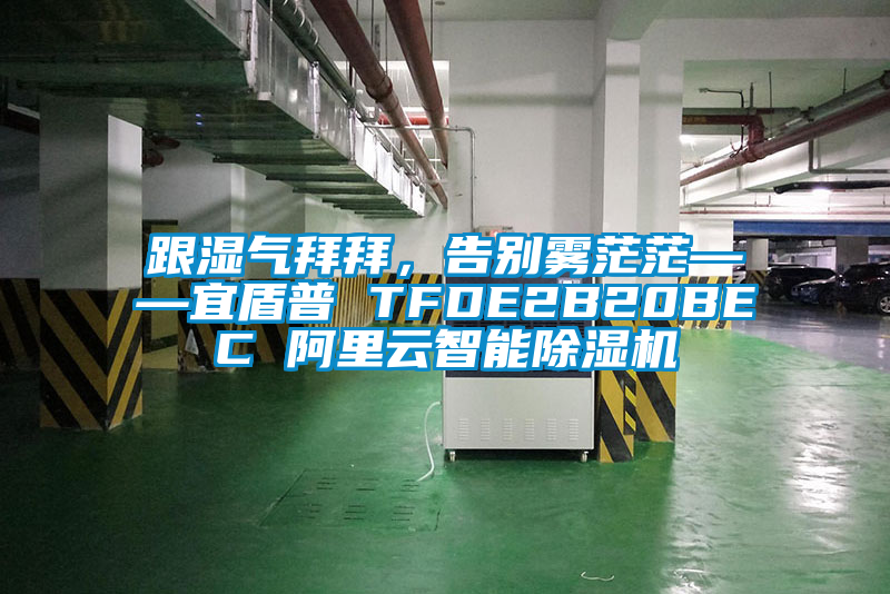 跟濕氣拜拜，告別霧茫茫——宜盾普 TFDE2B20BEC 阿里云智能除濕機