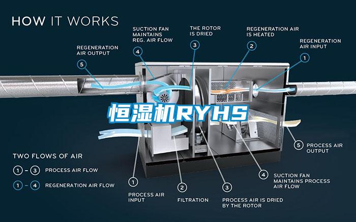 恒濕機RYHS