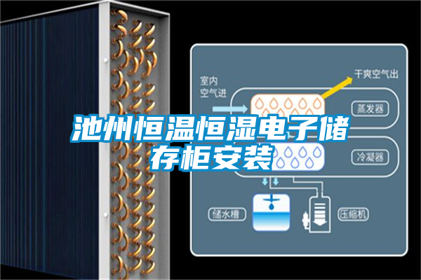池州恒溫恒濕電子儲(chǔ)存柜安裝
