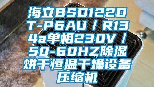 海立BSD122DT-P6AU／R134a單相230V／50-60HZ除濕烘干恒溫干燥設備壓縮機