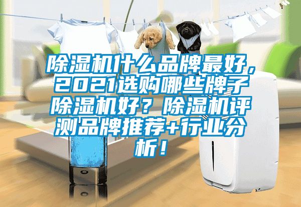 除濕機什么品牌最好，2021選購哪些牌子除濕機好？除濕機評測品牌推薦+行業分析！