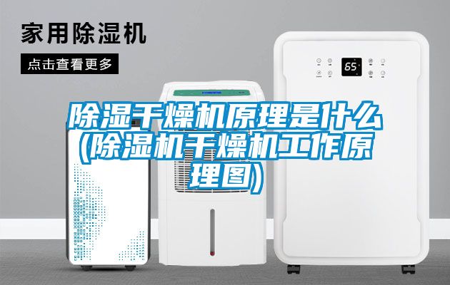 除濕干燥機原理是什么(除濕機干燥機工作原理圖)