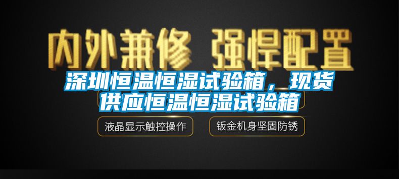 深圳恒溫恒濕試驗箱，現(xiàn)貨供應恒溫恒濕試驗箱