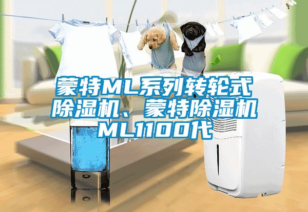 蒙特ML系列轉輪式除濕機、蒙特除濕機ML1100代